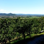 Panorama da Abbazia di Rosazzo