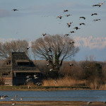 13350-23_riverva_isola_dellacona